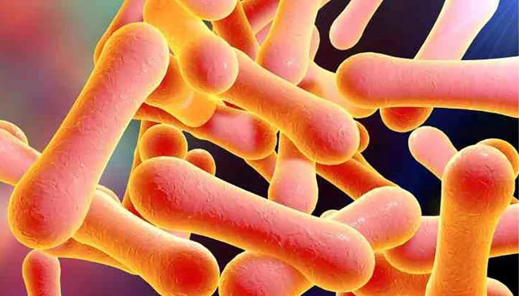 Publican nuevas recomendaciones para tratamiento clínico de la difteria  