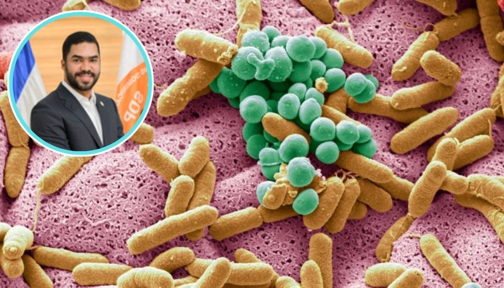 Advierten microbiota desequilibrada aumenta riesgo de enfermedades desde la infancia 